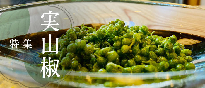 実山椒特集
