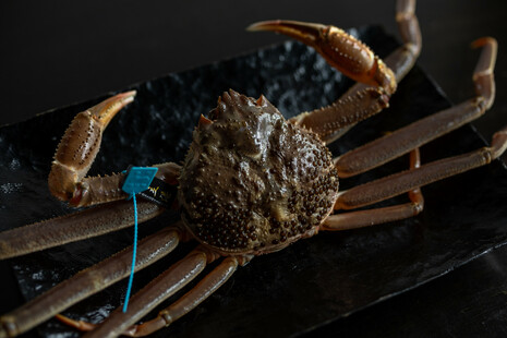 加賀橋立港香箱蟹 2杯（各200～250ｇ）