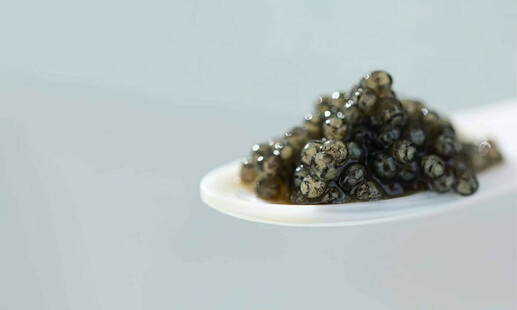 「鮨しゅんじ」生キャビア 30g 化粧箱入り