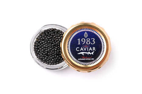 宮崎キャビア1983