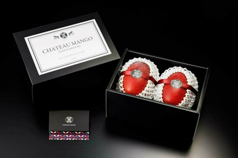 シャトーマンゴー