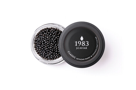 宮崎キャビア1983 バエリ