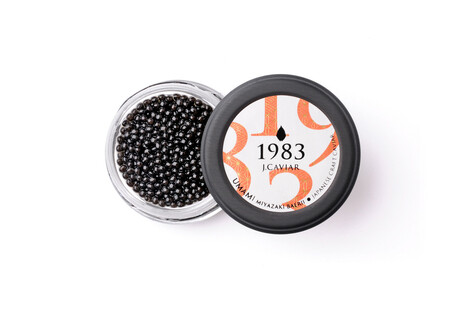 宮崎キャビア1983 バエリ旨味 (20g)