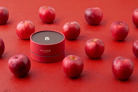 【期間/数量限定】BLANCA rojo(ロホ) 紅玉林檎のバスクチーズケーキ