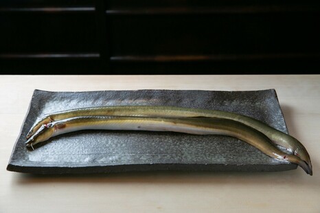 【土用の丑の日用】【冷凍発送】厳選した琵琶湖の天然うなぎ