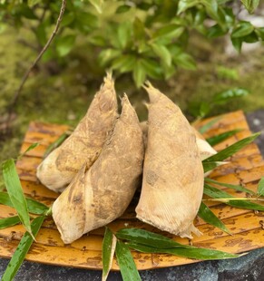 近江の地どりと筍の鍋(春野菜)