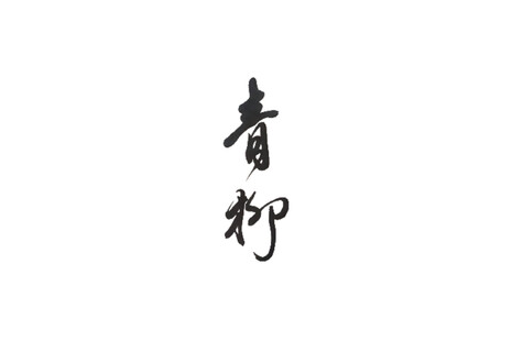 紋甲烏賊とキノコのアヒージョ
