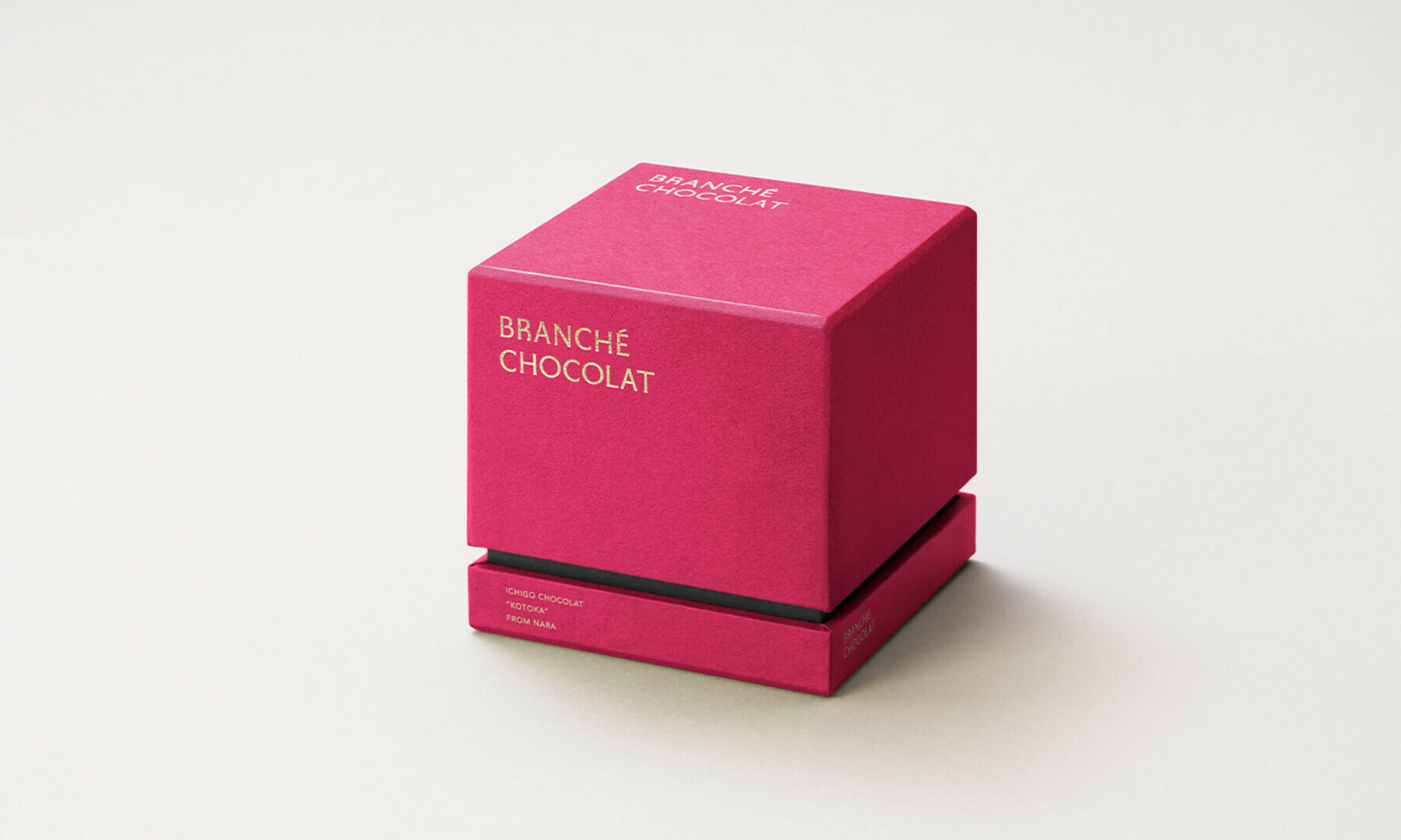 苺のカレ・オ・ショコラ GIFT BOX