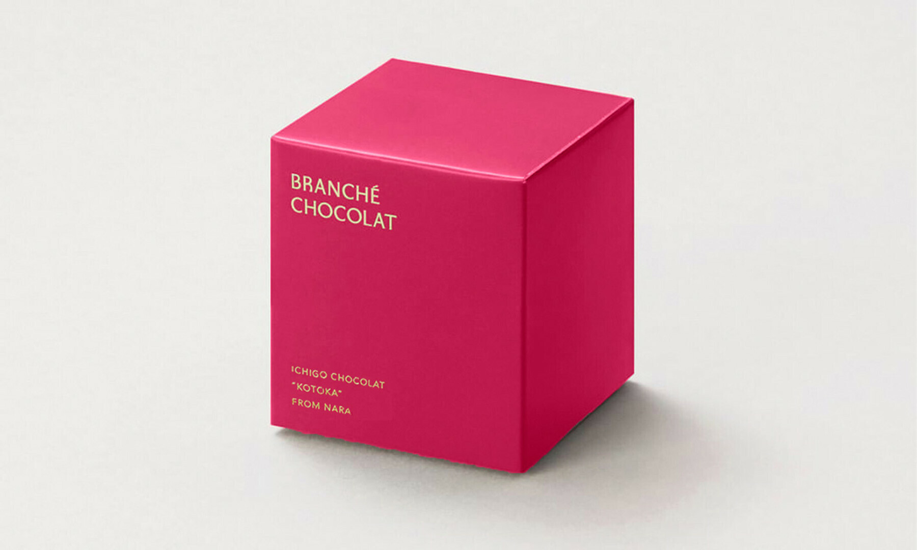 苺のカレ・オ・ショコラ ECO BOX