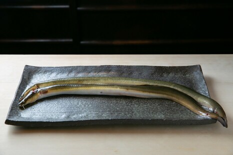 【冷凍発送】厳選した琵琶湖の天然うなぎ