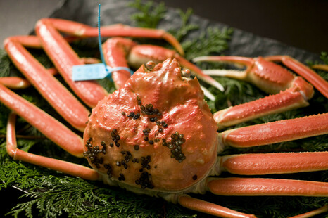 加賀橋立港ずわい蟹 1杯（1000～1200ｇ）+ 無何有白甲州樽醗酵2018